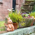 Hof Helmenhube 1 * Oberzent
