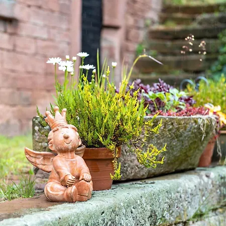 Hof Helmenhube 1 Daire